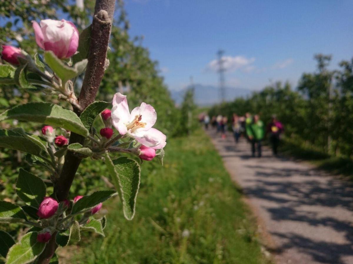 Rinascita e speranza: dopo il Calvario arriva la Pasqua